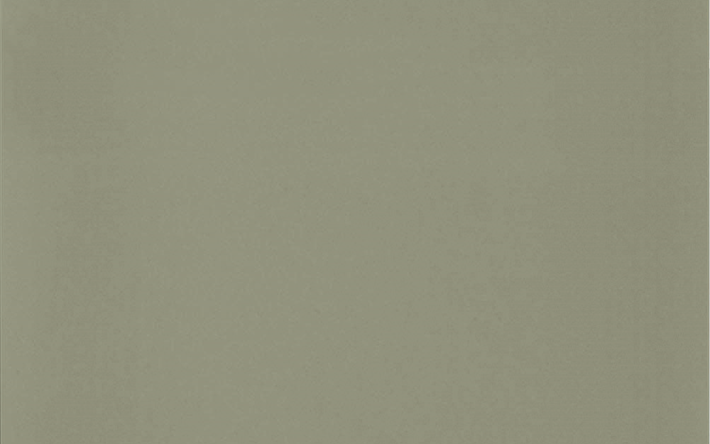 Premium Honed Olive