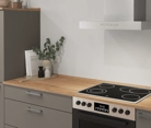 Cuisines Elite Cuisine en L 366,6 cm x 246, 6 cm électroménagers inclus planning 14 2